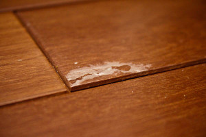 Glue Wall