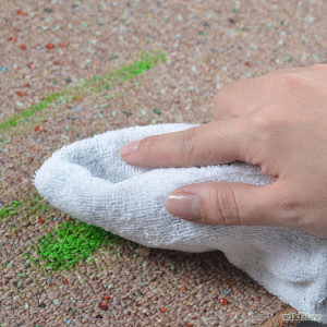 Remove Toner from Carpet