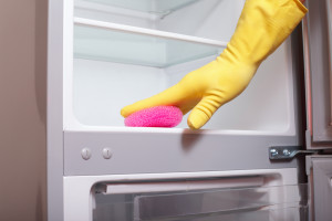 How to clean fridge