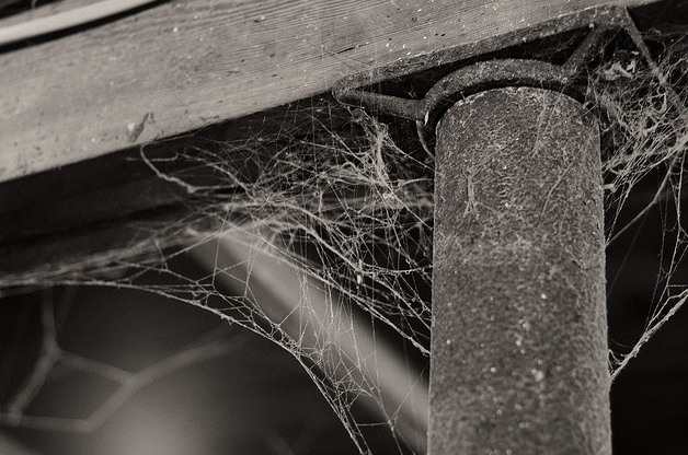 How to clean cobwebs - KanKlean