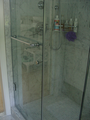 shower-door